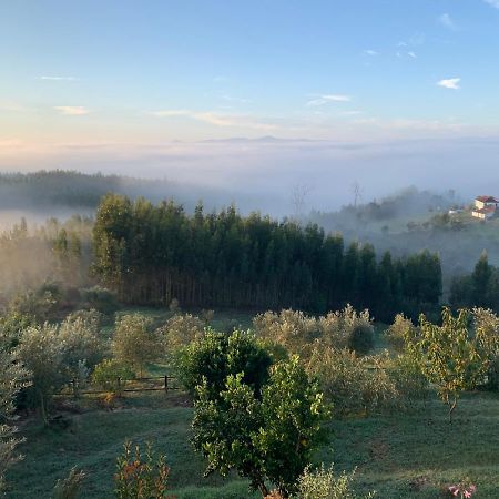Quinta Lagares Hotel Penacova Bagian luar foto